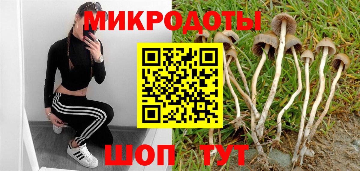 Пугачёв  Псилоцибиновые грибы Psilocybine cubensis  Вход с VPN  Псилоцибиновые грибы Magic Shrooms 