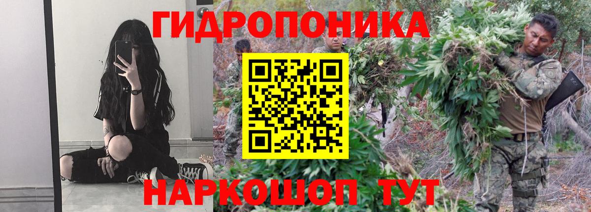 Бошки Шишки VHQ Пугачёв